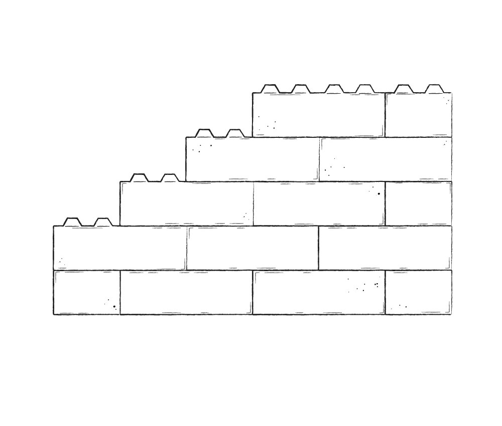 真横からの画像